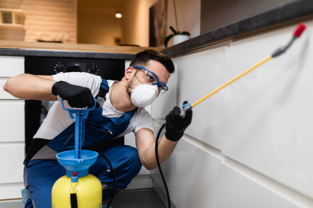 Flea Control Services in Saugatuck, CT