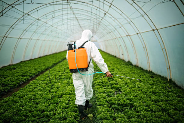 Best Mosquito Control Services  in Saugatuck, CT