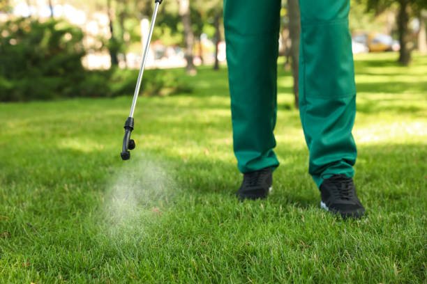 Best Best Pest Control Companies  in Saugatuck, CT