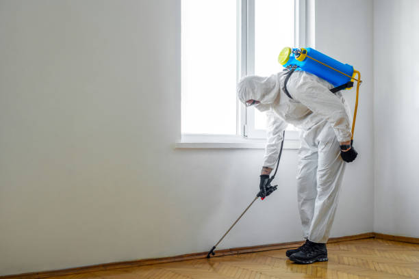 Best Commercial Pest Control Services  in Saugatuck, CT