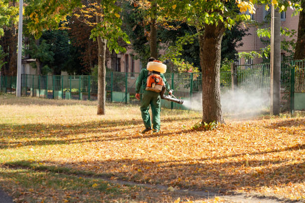 Best Best Pest Control Near Me  in Saugatuck, CT