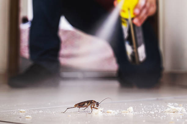 Best Cockroach Control Services  in Saugatuck, CT