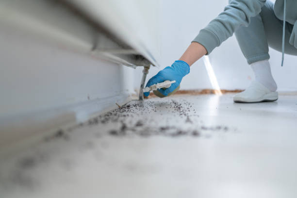 Saugatuck, CT Pest Control Company